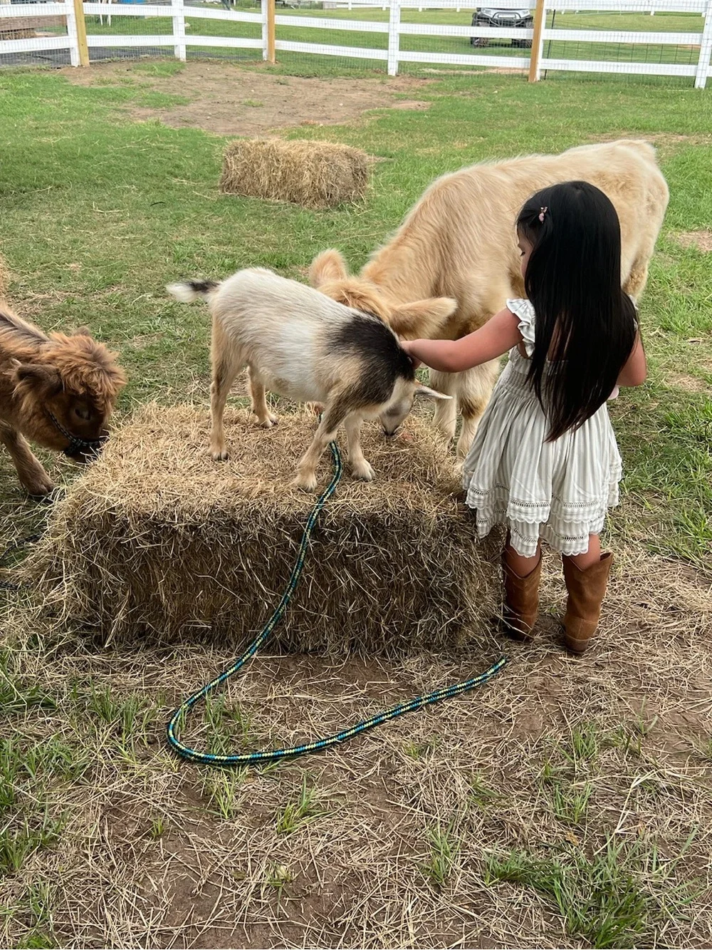 Rylee + Cru Kids Suede Cowboy Boots- Saddle